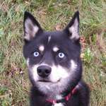 Ersteller:in Finn Profilbild