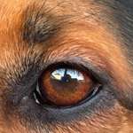 Ersteller:in Anna Profilbild