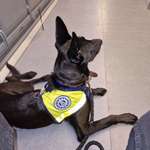 Ersteller:in Patrik Profilbild