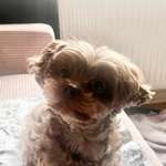 Ersteller:in Ari Profilbild