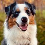 Ersteller:in Jasmin Profilbild