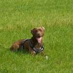 Ersteller:in Udo Profilbild