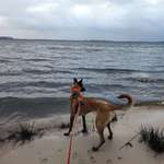 Ersteller:in Vi Profilbild