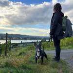 Ersteller:in Carola Profilbild