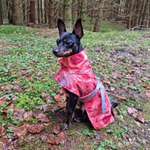 Ersteller:in Aleksandra Profilbild