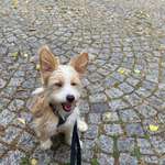 Ersteller:in Kathrin Profilbild