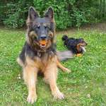 Ersteller:in Ebby Profilbild