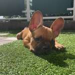 Ersteller:in Celina Profilbild