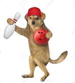 Indoor Aktivitäten für Menschen und Hunde-Beitrag-Bild