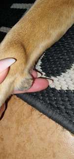 Ballenverletzung?-Beitrag-Bild