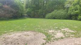 Hundeauslaufgebiet-Leni-Rommel-Straße-Bild