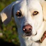 Ersteller:in Zacharoula Profilbild