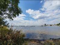 Hundeauslaufgebiet-Cospudener See-Bild