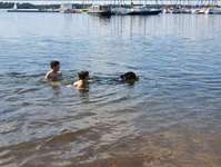 Hundeauslaufgebiet-Cospudener See-Bild