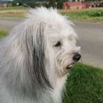 Ersteller:in Dagmar Profilbild