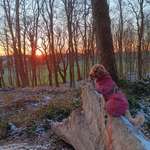 Ersteller:in Gabriele Profilbild