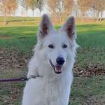 Ersteller:in Kirsten Profilbild