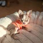 Ersteller:in Britt Profilbild