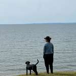 Ersteller:in Steffi Profilbild