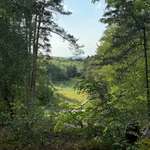 Ersteller:in Jacky Profilbild