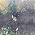 Ersteller:in Peter Profilbild