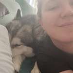 Ersteller:in Anastasia Profilbild