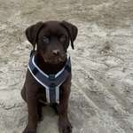 Ersteller:in Simone Profilbild