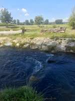 Hundeauslaufgebiet-Fischtreppe-Bild