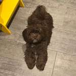 Ersteller:in Julia Profilbild