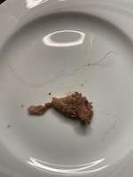 Rote dünne Drähte im Dibo Tiefkühl-Lammfutter-Beitrag-Bild