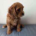 Ersteller:in Nadja Profilbild