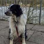 Ersteller:in Birgit Profilbild