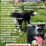 Suchmeldung-LUCKY-Bild