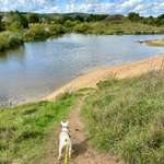 Hundeauslaufgebiet-Hundestrand Viereth-Bild