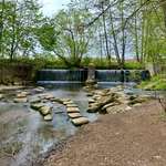Hundeauslaufgebiet-Drosendorfer Wehr-Bild