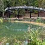 Hundeauslaufgebiet-Wildpark Hundshaupten-Bild