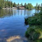 Hundeauslaufgebiet-Fichtelsee-Bild