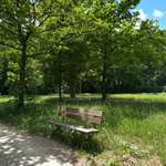 Hundeauslaufgebiet-Bamberger Hainpark (Theresienhain/Luisenhain/Botanischer Garten mit Weiher)-Bild