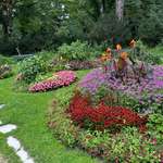 Hundeauslaufgebiet-Bamberger Hainpark (Theresienhain/Luisenhain/Botanischer Garten mit Weiher)-Bild