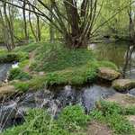 Hundeauslaufgebiet-Drosendorfer Wehr-Bild