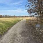 Hundeauslaufgebiet-Borstig-Bild