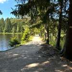 Hundeauslaufgebiet-Fichtelsee-Bild