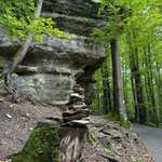 Hundeauslaufgebiet-Wildpark Hundshaupten-Bild