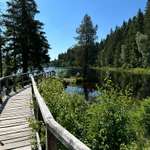Hundeauslaufgebiet-Fichtelsee-Bild