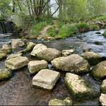 Hundeauslaufgebiet-Drosendorfer Wehr-Bild
