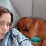 Ersteller:in Sonja Profilbild