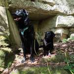 Ersteller:in Jaz Profilbild