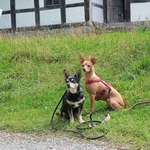 Ersteller:in Nadine Profilbild