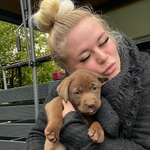 Ersteller:in Celina Profilbild