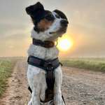 Ersteller:in Yvonne Profilbild